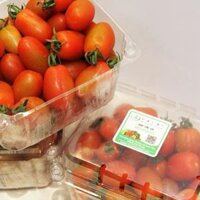 Cà chua bi hữu cơ Đà Lạt (Hộp 500g)