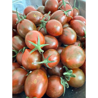 Cà chua cherry socola VietGAP hàng loại 1 siêu ngọt của công ty Larafarm 1kg (gồm 2 hộp 500g)