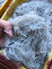 Cá cơm mờn tươi - Khay 500gr