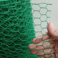 Cả cuộn Lưới sắt bọc nhựa, lưới mắt cáo khổ 50cm, 60cm và 1m2