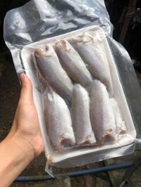 cá đù nguyên con 1 nắng