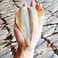 Cá Đù Sóc 1 nắng - Đặc sản Vũng Tàu. Loại đặc biệt 6 con/kg