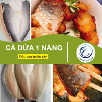 CÁ DỨA 1 NẮNG ĐẶC SẢN MIỀN TÂY