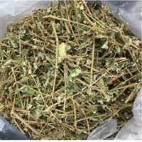 Cà gai leo 1kg