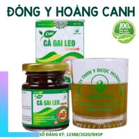 Cà Gai Leo, Trà Cà Gai Leo Hạ Men Gan cao Ca gai leo nguyen chat - ĐÔNG Y HOÀNG CANH