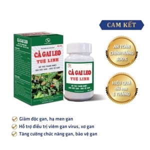 Cà Gai Leo Tuệ Linh - Giải độc gan, giải rượu