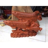 Cá gỗ hương đá cá kim  Long vượt vũ môn kt 35 20 10