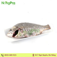 Cá Hanh sông Hoài (100g)