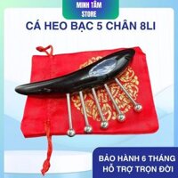 Cá heo bạc 5 chân 8li- Massage- Dụng Cụ Diện Chẩn