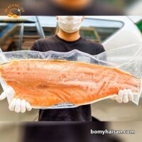 Cá Hồi Nauy Fillet Đông Lạnh | Nướng Áp Chảo | Giao Siêu Tốc HCM