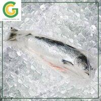 CÁ HỒI NAUY NGUYÊN CON