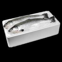 Cá hồi tươi Nauy nguyên con (Salmon Fresh)