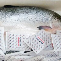 CÁ HỒI TƯƠI NGUYÊN CON NAUY - SALMON