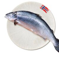 Cá hồi tươi nguyên con Nauy