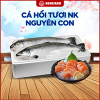 Cá hồi tươi  nguyên con