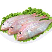 Cá hường Phan Thiết (size lớn)