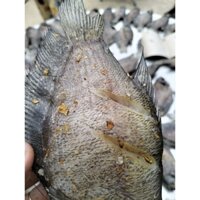 Cá khô sặc rằn muối ớt xã nghệ.loại 10-12con/1kg