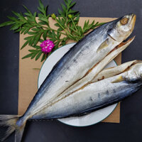 Cá khô xuất khẩu Ca thu nhat - Cá thu Ảo bỏ đầu Thơm Ngon Màu trắng Nguyên Con Giàu dĩnh dưỡng - Cam kết an toàn  không chất bảo quản 100% từ tự nhiên 500GR