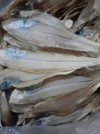 Cá khô xuất khẩu Các loại khô cá - Khô cá lưỡi trâu Khô cá bơn Thơm Ngon Bổ rẻ Cam kết 100% tự nhiên - Túi 1KG 500G 200G 100G