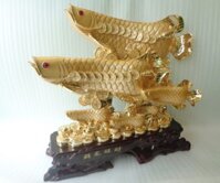 Cá kim long vàng 6 con FH283G