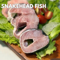 CÁ LÓC ĐÔNG LẠNH CẮT KHÚC, 300gr/khay/túi hút chân không, có rider, 100-160gr/khúc