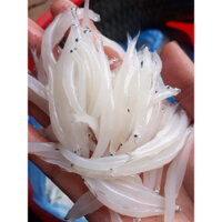 cá ngần sông đà 500gr❤️GIÁ SỈ❤️thơm ngon ngọt dinh dưỡng