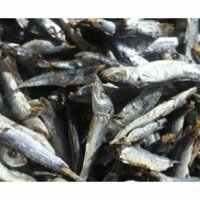 cá nục khô nhạt loại ngon 1kg biển cửa lò HFH (cây giống quỳnh anh)