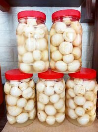 Cà pháo ngâm nước muối Cô Ri 500gr