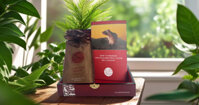 Cà Phê Chồn Robusta Legend Revived (Robusta Weasel Coffee) 125g (Hạt/Bột) – Hương Trà Đen, Bạch Quả, Chocolate Đen Cùng Vị Ngọt Đắng, Hậu Ngọt Béo (Hộp Sơn Mài)