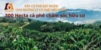 Cà phê Đặc biệt Sáu Nhung (bột, hạt)