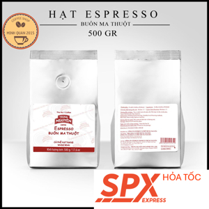 Cà phê hạt rang Buôn Ma Thuột Espresso Trung Nguyên 500g