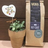 Cà phê Moka Đam Mê - Thành phần hạt Coffee Moka- Robusta- Culi nguyên chất