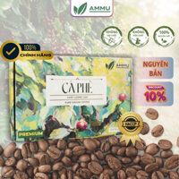 CÀ PHÊ NGUYÊN CHẤT RANG MỘC AMMU COFFEE Robusta và Arabica cầu đất , cafe pha máy cafe pha phin