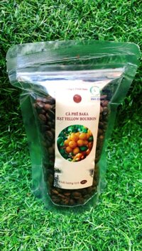 Cà Phê Nguyên Chất - YELLOW BOURBON hạt (Bì 100g)