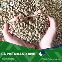 Cà Phê Nhân Xanh 100% Robusta (Khô/Ướt/Honey), Green Beans Coffee, Cà Phê Chất Lượng Cao (kg) - Rubia Farm