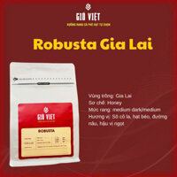 Cà phê  Robusta gu đậm đà truyền thống  - Vùng Gia Lai-  Gói 250gr - Gió Việt Coffee Roaster