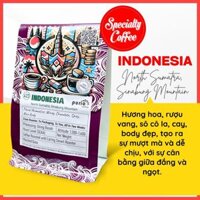 Cà phê specialty nhập khẩu cao cấp đặc sản Indonesia, North Sumatra, Sinabung, Purio 423