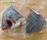 Cá Rô Phi sống (size lớn)