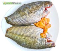 Cá sặc rằn trứng size lớn