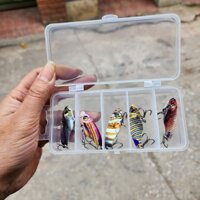 Cá Sắt R45 3D ---- V2