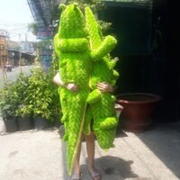 CÁ SẤU NHỒI BÔNG 1M6