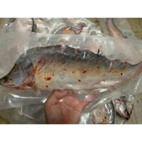 Cá Thác Lác Rút Xương - Cá Thác Lác Nguyên Con 1KG 3,4 Con [Ship hỏa tốc HCM]