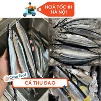 Cá Thu Đa0 Sanma Nhật Bản