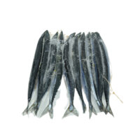 Cá Thu Đao Nguyên Con Nhật Bản