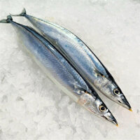 cá thu đao(sanma) nhật size 6-8