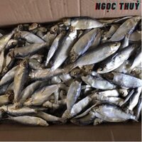 Cá trích khô ( cá nhâm ve , cá de , cá ve) chuẩn hương vị biển