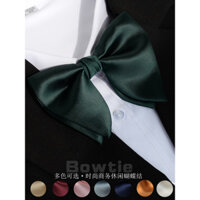 Cà vạt nơ nam thường ngày, tuxedo, nút bướm, kiểu sừng, bộ vest chú rể, phụ kiện áo sơ mi đen