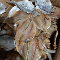 Cá xứa, Cá én, Cá chim biển, Cá hạt bí túi 1kg