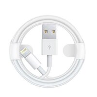 CABLE APPLE LIGHTNING TO USB CABLE (1 M)