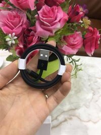 Cable Lightning iPhone Chính Hãng Apple